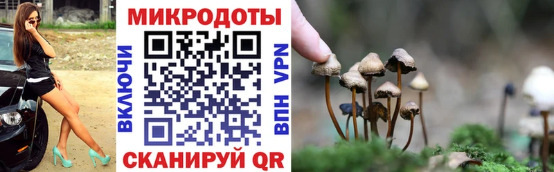 Галлюциногенные грибы Psilocybe  Купить закладки  Мамоново 